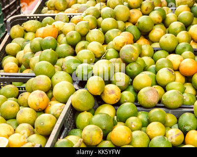 Contexte des citrons naturels dans des boîtes dans un marché. alicante, Espagne Banque D'Images