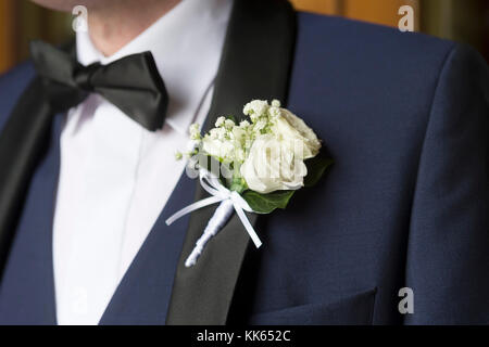 Close up of groom flower Banque D'Images