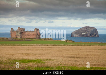 Château De Tantallon Et Bass Rock Près De North Berwick East Lothian Scotland. Banque D'Images