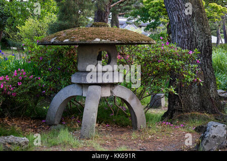 Nagano, Japon - 3 juin 2017 : vovered la lanterne de pierre avec de la mousse dans le parc autour du temple Zenkoji Banque D'Images