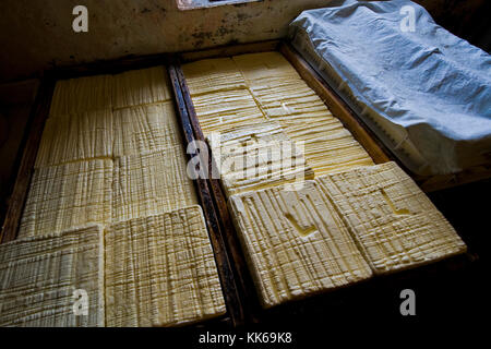 Dans les pâturages, les laitiers Locatelli vallée Taleggio, Lombardie, Italie Banque D'Images