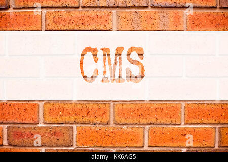 Inspiration de légende de texte d'annonce conceptuelle montrant CMS. Concept d'affaires pour CMS WWW écrit sur fond de briques anciennes avec de l'espace Banque D'Images