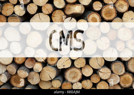 Texte d'annonce conceptuelle légende inspiration montrant CMS Business concept pour CMS WWW écrit sur fond de bois avec espace Banque D'Images