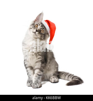 Chaton portant un chapeau rouge en Père Noël sur fond blanc Banque D'Images