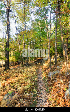 La nature en automne à préserver mohonk dans New Paltz, New York. Banque D'Images