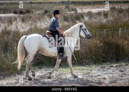 Un jeune gardien Français/Gardian à cheval, la Camargue, France Banque D'Images