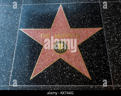 Les Muppets, star, Hollywood Walk of Fame - août 11th, 2017 - Hollywood boulevard, Los Angeles, Californie, CA, USA Banque D'Images