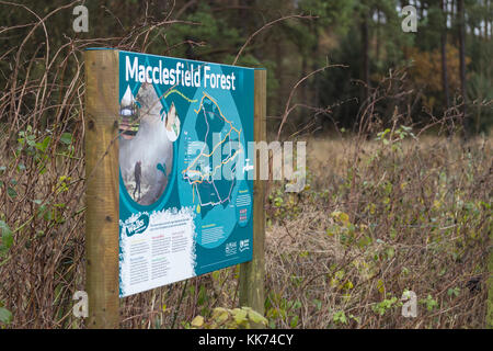Panneau d'information sur les visiteurs de la forêt de Macclesfield Banque D'Images