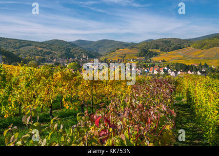 Village d'Andlau et les vignobles environnants en belles couleurs d'automne, les contreforts des Vosges, sur la route des vins d'Alsace, France Banque D'Images