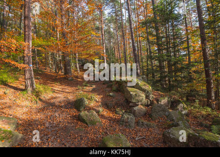 Le mur païen, mur celtique autour du Mont Sainte-Odile, en allemand Odilienberg, sommet dans les Vosges, Alsace, France Banque D'Images