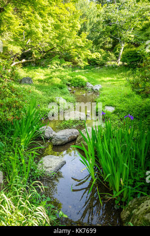 Maruyama jardin japonais à Kyoto, Japon Banque D'Images