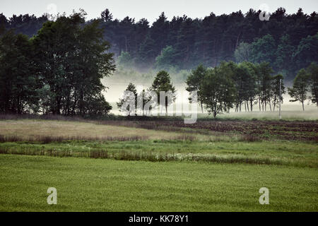 Paysage du village avec des stries de brume en Pologne Banque D'Images