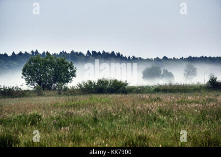 Paysage du village avec des stries de brume en Pologne Banque D'Images