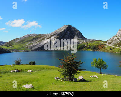 Vue du lac Enol aux Lacs de Covadonga dans les Asturies, Espagne Banque D'Images