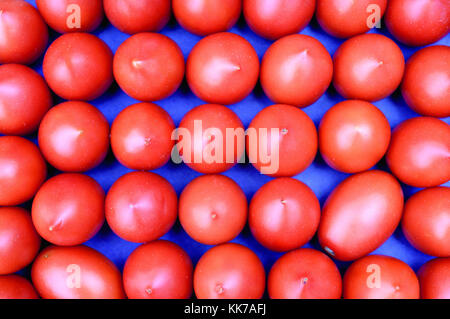 Rangées de tomates fraîches rouge sur l'affichage à un marché de fermiers dans l'Essex, Angleterre Banque D'Images