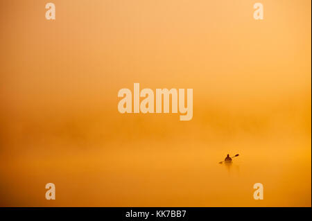 Pêcheur sur le lac Cassidy le lever du soleil et brouillard tôt le matin de pêche Kayak Banque D'Images