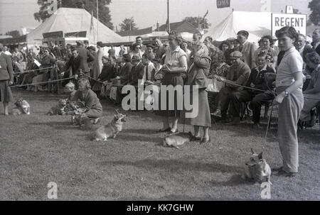 Années 1950, historique, photo montre corgi les chiens et leurs propriétaires prenant part à un concours de chien dans un champ à un comté rural show, avec les spectateurs assis derrière une corde à la recherche sur, England, UK. Welsh Corgi les chiens sont une race de chien et de l'élevage considéré comme excellent chiens de travail. Banque D'Images