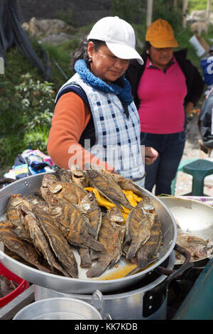Poissons et fruits de mer séchés vendus dans un stand, marché Otavalo, Otavalo, Équateur, Amérique du Sud Banque D'Images