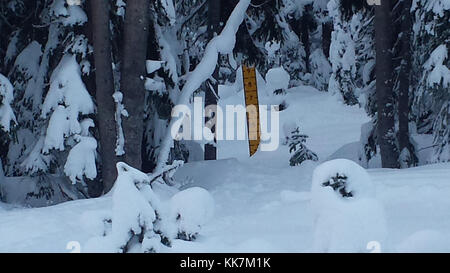 Neige totale dans une zone le long de l'autoroute du nord des Cascades 20 SR le lundi, Novembre 21, 2016 - Le jour où l'autoroute a été fermée pour la saison. SR 20 Autoroute du nord des Cascades 31300319735 o Banque D'Images