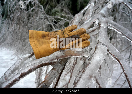 En raison des conditions glaciales, des arbres tombés et des chutes de neige qui rendent les équipes WSDOT non sécuritaires pour dégager la route dans certaines régions - l'Interstate 90 est fermée à tous les véhicules à partir du mardi 17 janvier. Notre première priorité est la sécurité, tant pour vous en tant que voyageurs que pour nos équipages. Les fermetures de routes et les routes seront dégagées aussi rapidement que possible. Fermeture des forces météorologiques hivernales I-90 31567615264 o Banque D'Images