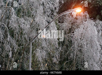 En raison des conditions glaciales, des arbres tombés et des chutes de neige qui rendent les équipes WSDOT non sécuritaires pour dégager la route dans certaines régions - l'Interstate 90 est fermée à tous les véhicules à partir du mardi 17 janvier. Notre première priorité est la sécurité, tant pour vous en tant que voyageurs que pour nos équipages. Les fermetures de routes et les routes seront dégagées aussi rapidement que possible. Fermeture des forces météorologiques hivernales I-90 31567615064 o Banque D'Images