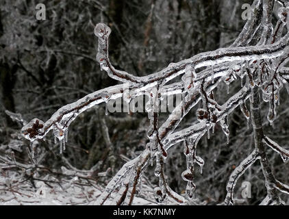 En raison des conditions glaciales, des arbres tombés et des chutes de neige qui rendent les équipes WSDOT non sécuritaires pour dégager la route dans certaines régions - l'Interstate 90 est fermée à tous les véhicules à partir du mardi 17 janvier. Notre première priorité est la sécurité, tant pour vous en tant que voyageurs que pour nos équipages. Les fermetures de routes et les routes seront dégagées aussi rapidement que possible. Fermeture des forces météorologiques hivernales I-90 31567613914 o Banque D'Images