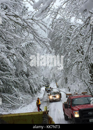 Notre équipe de maintenance inspecte les arbres potentiellement dangereux sur le SR 542 dans le comté de Whatcom. De fortes chutes de neige et de vent ont entraîné environ 100 arbres sur la route sur une étendue de 10 kilomètres et ont laissé beaucoup d'autres dans des positions dangereuses, provoquant une fermeture complète de la route. En prenant un coup d'œil prudent de 31943114324 ° Banque D'Images