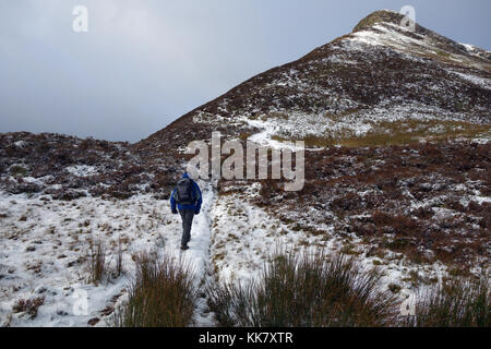 Homme seul marche sur fellwaker giboulée hause vers le wainwright causey pike dans le parc national du Lake District, Cumbria.uk. Banque D'Images