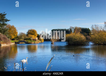 Hemingford grey lake, Cambridgeshire, Angleterre, Royaume-Uni. Banque D'Images