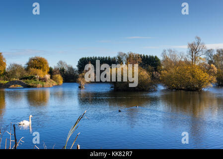 Hemingford grey lake, Cambridgeshire, Angleterre, Royaume-Uni. Banque D'Images