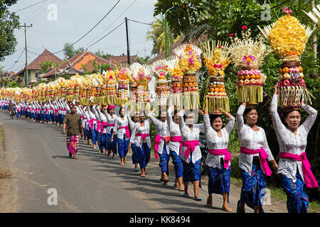 Défilé de vêtements traditionnels des femmes portant des offrandes au temple / gebogans sur leur tête près de ubud, gianyar regency sur l'île de Bali, Indonésie Banque D'Images