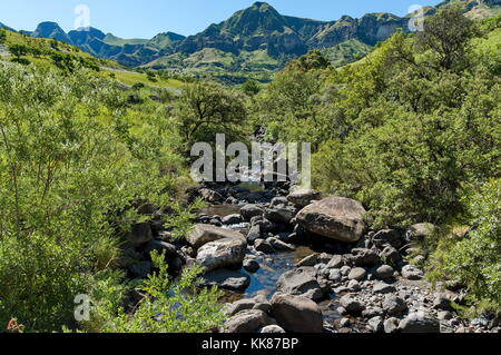 L'un de Thukela River dans les montagnes du Drakensberg, Afrique du Sud Banque D'Images