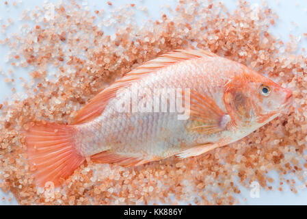 Sel rose avec tilapia frais Banque D'Images