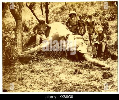 La chasse à l'éléphant, l'Inde, ca 1865 par willoughby wallace hooper Banque D'Images