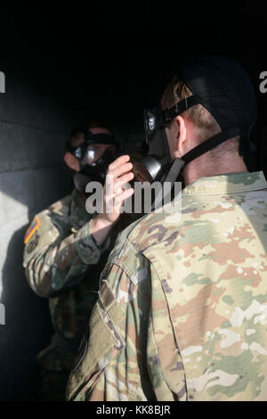 Des soldats américains avec 650e Groupe de renseignement militaire vérifier leur M50 Service Commun masque à usage général, à mesure qu'ils renforcent la confiance, dans le centre de support de formation chimique, biologique, radiologique et nucléaire du Benelux, dans la chambre d'Chièvres, Belgique, novembre 09, 2017. (U.S. Photo de l'armée par Visual Spécialiste de l'information, Pierre-Etienne Courtejoie) Banque D'Images