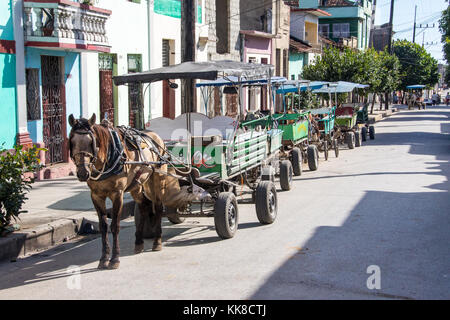 Transport de chevaux des taxis dans une rangée à Cienfuegos, Cuba Banque D'Images