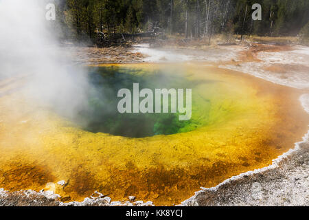 Gloire du matin dans la fonction thermique piscine geyser Basin, parc national de Yellowstone Banque D'Images