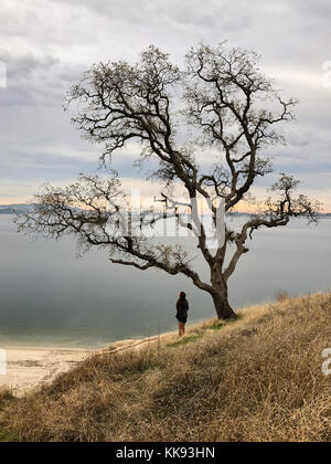 Fille avec arbre de chêne donnant sur le lac Banque D'Images