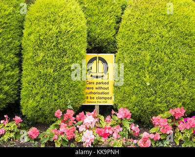 Limites fonctionnelles de décoration dans un jardin de l'hôtel de couverture dans le Nord du Devon UK avec Impatiens à fleurs Banque D'Images