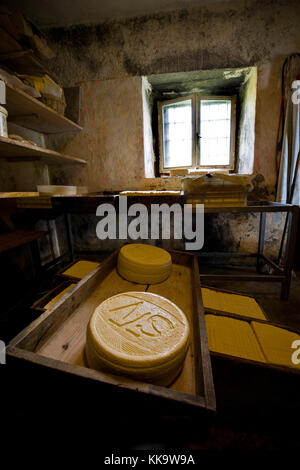 Dans les pâturages, les laitiers Locatelli vallée Taleggio, Lombardie, Italie Banque D'Images