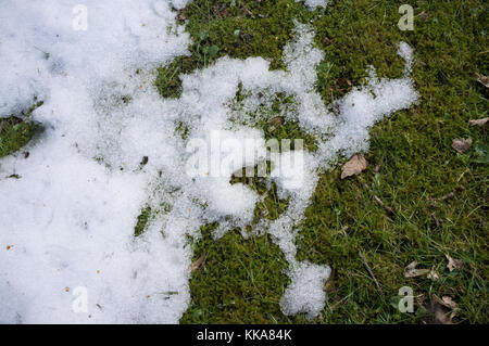 Allongé sur le sol la neige fond lentement pour révéler l'herbe. Banque D'Images