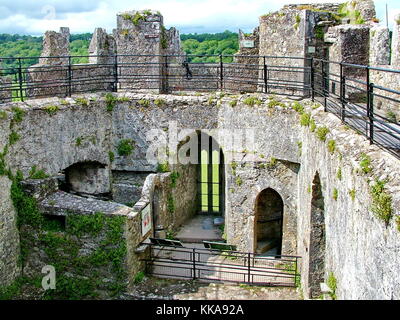 Le château de Blarney, co Cork, Irlande Banque D'Images