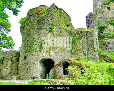 Le château de Blarney près de Cork, Irlande Banque D'Images