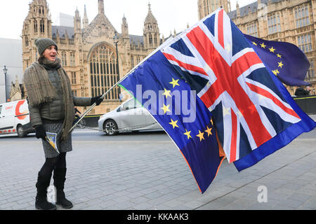 London uk. 29 novembre 2017. pro europe manifestants devant le parlement comme le gouvernement britannique a accepté de payer l'Union européenne 50 milliards de livres sterling en ce qui est connu comme le brexit règlement de divorce afin de lancer les négociations piétinent avec Bruxelles crédit : amer ghazzal/Alamy live news Banque D'Images