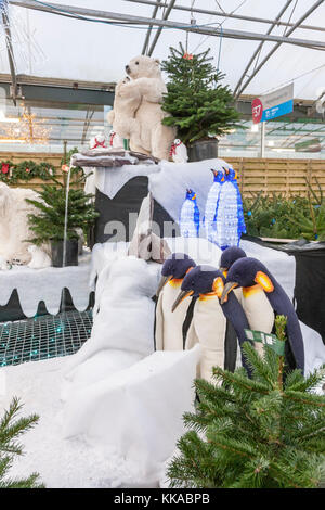 Northampton Royaume-uni 29 novembre 2017. Un grand affichage de Noël que vous entrez Wyevale Garden Centre. Harlestone road Northampton avec les ours polaires déménagement et la respiration à l'écran. Credit : Keith J Smith./Alamy Live News Banque D'Images