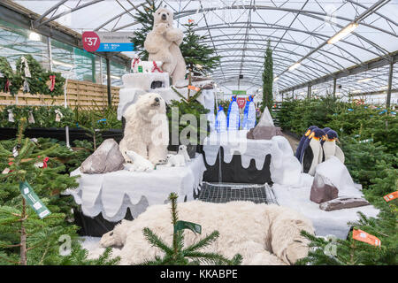 Northampton Royaume-uni 29 novembre 2017. Un grand affichage de Noël que vous entrez Wyevale Garden Centre. Harlestone road Northampton avec les ours polaires déménagement et la respiration à l'écran. Credit : Keith J Smith./Alamy Live News Banque D'Images