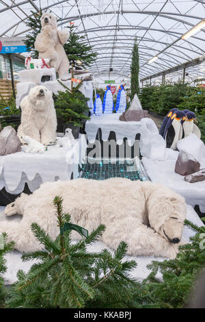 Northampton Royaume-uni 29 novembre 2017. Un grand affichage de Noël que vous entrez Wyevale Garden Centre. Harlestone road Northampton avec les ours polaires déménagement et la respiration à l'écran. Credit : Keith J Smith./Alamy Live News Banque D'Images