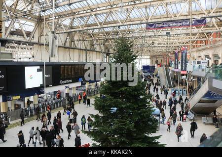 Londres, Royaume-Uni. 30Th nov, 2017. Un arbre de Noël conifère géant a été installé à Waterloo Station terminal pour les fêtes : crédit amer ghazzal/Alamy live news Banque D'Images