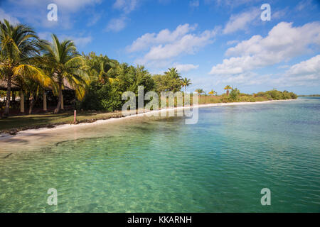 Cayo largo de sur, Isla de la Juventud, Cuba, Antilles, Caraïbes, Amérique centrale Banque D'Images