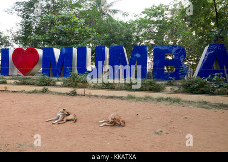 Les chiens de la rue reste en face de I love sign in Mumbai Juhu, Mumbai, Inde Banque D'Images